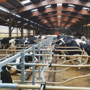 Câble de nuque SpeedFlex