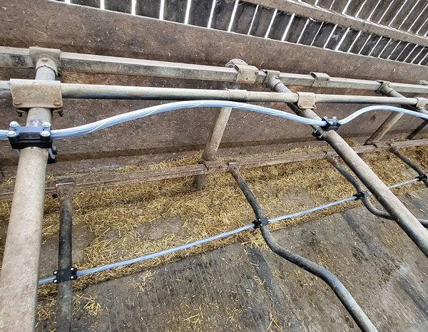 Câble de nuque SpeedFlex – Image 3