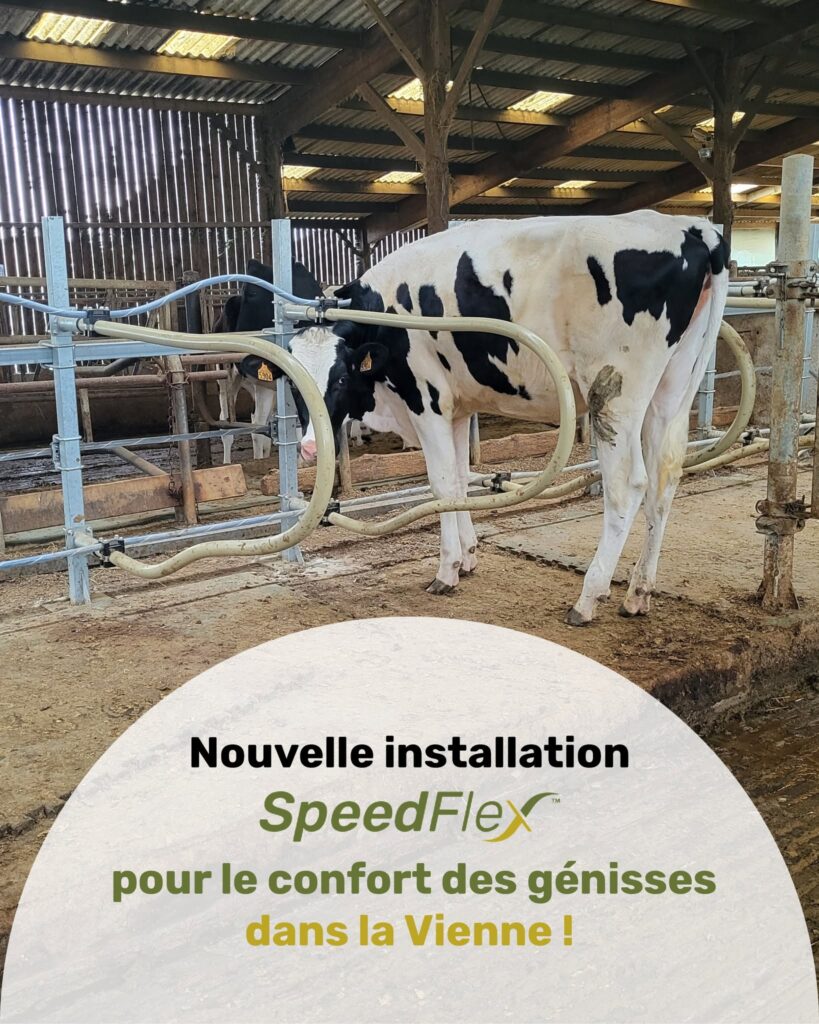 Remplacement de logettes métalliques pour génisses